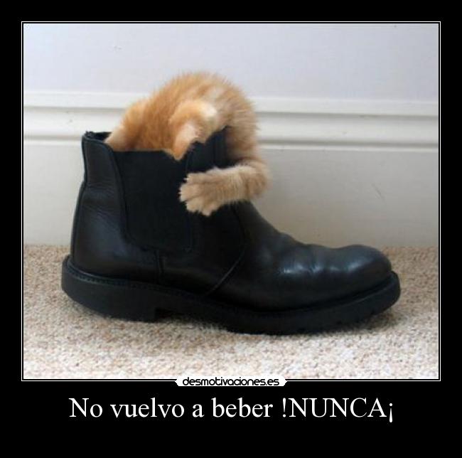 No vuelvo a beber !NUNCA¡ -