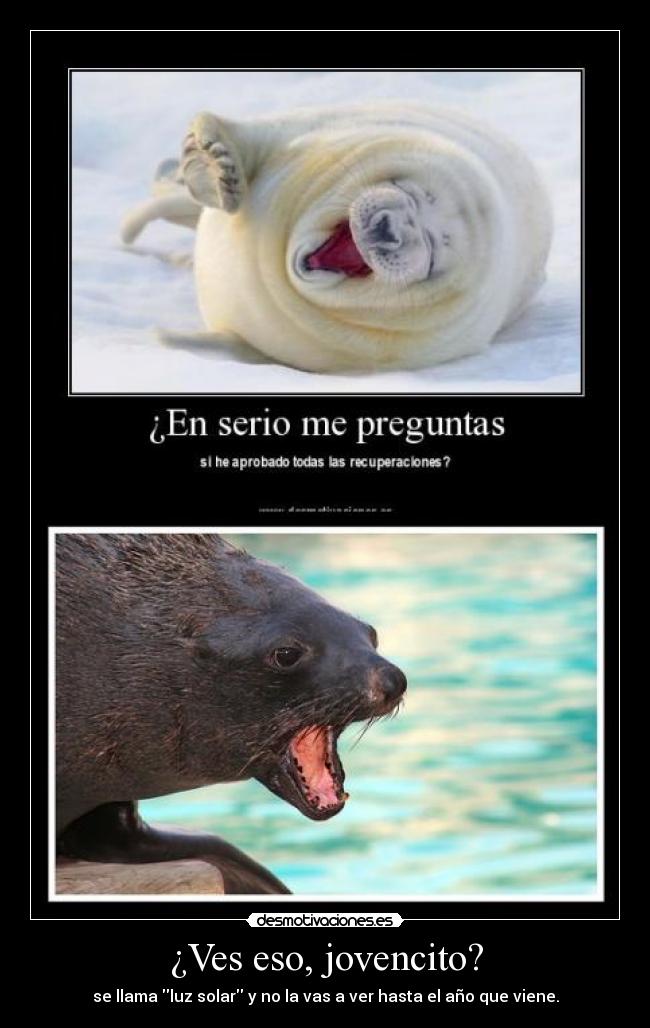 ¿Ves eso, jovencito? -