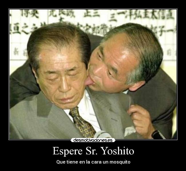 Espere Sr. Yoshito - Que tiene en la cara un mosquito