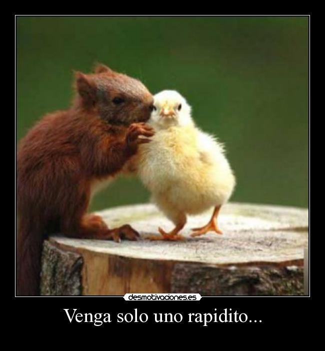 Venga solo uno rapidito... -