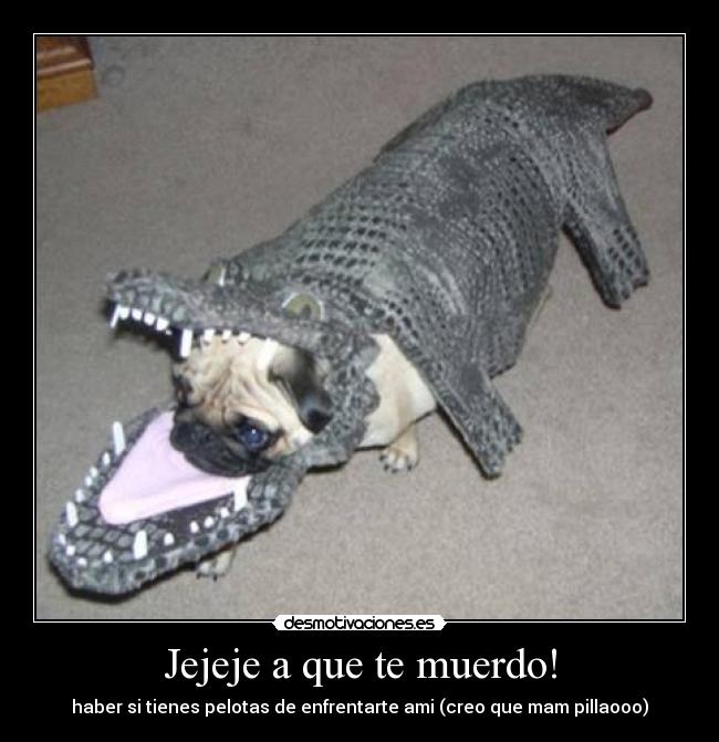 Jejeje a que te muerdo! -