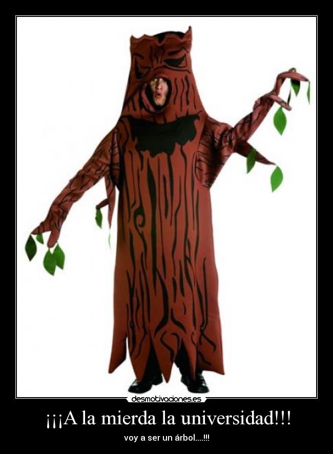 ¡¡¡A la mierda la universidad!!! - voy a ser un árbol....!!!