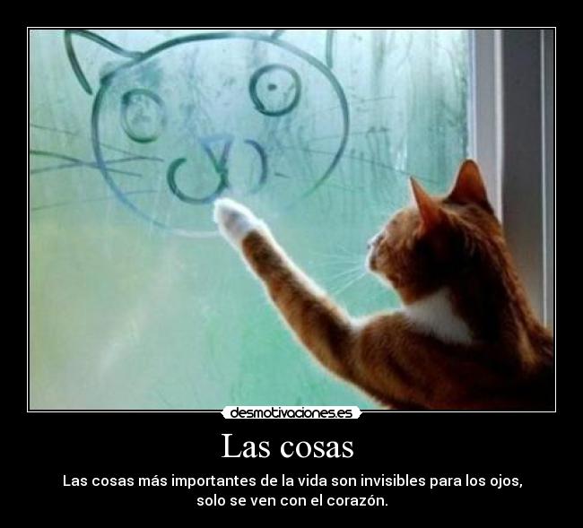 Las cosas  - 