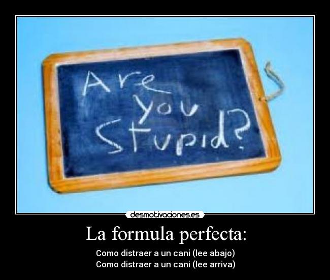 carteles cani desmotivaciones