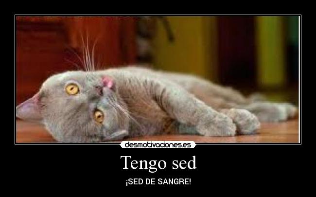 carteles jajajajajajajajajajajajaja oso ajajajajajaja desmotivaciones