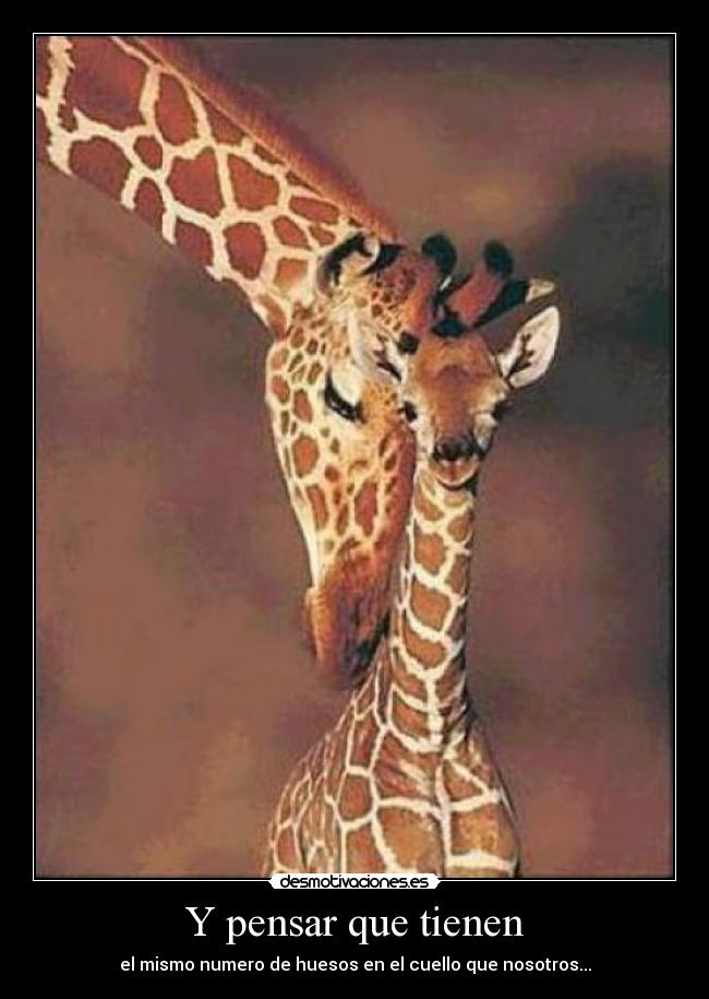 Y pensar que tienen -