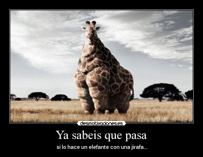 Ya sabeis que pasa - si lo hace un elefante con una jirafa...