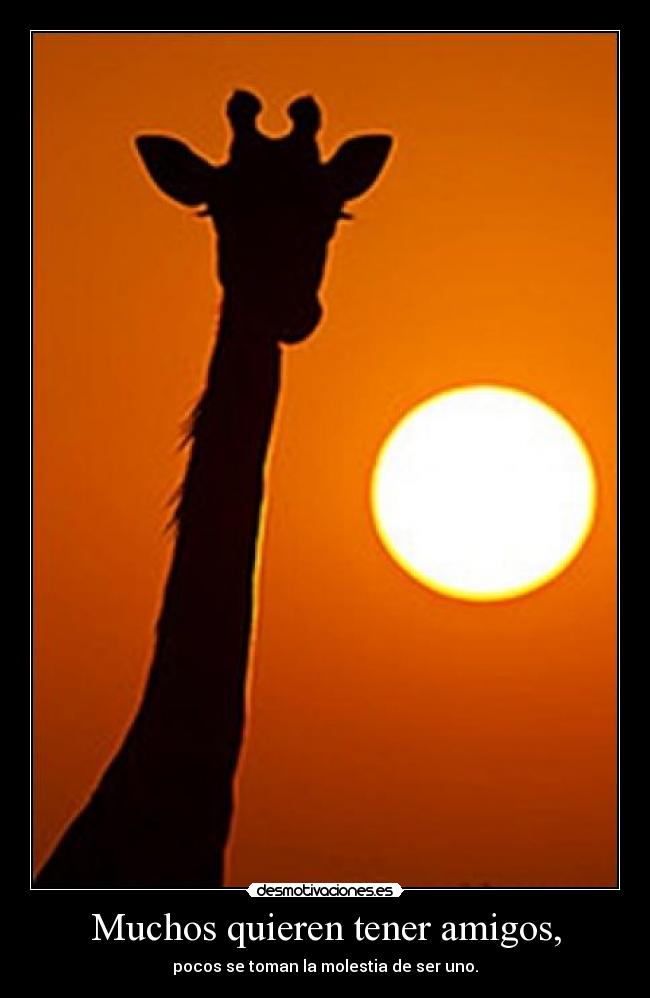 Muchos quieren tener amigos, - 
