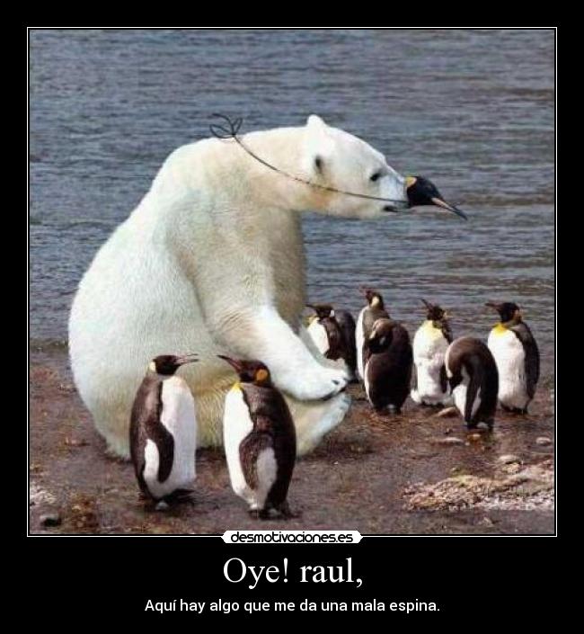 Oye! raul, - 