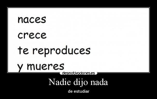 Nadie dijo nada - 