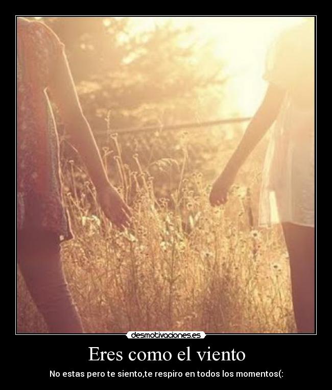 Eres como el viento - No estas pero te siento,te respiro en todos los momentos(: