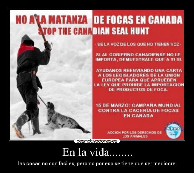 En la vida........ - las cosas no son fáciles, pero no por eso se tiene que ser mediocre.