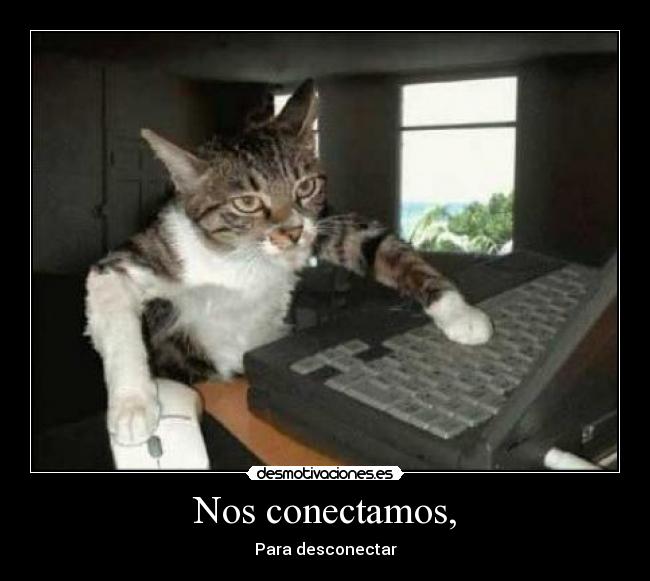 Nos conectamos, -