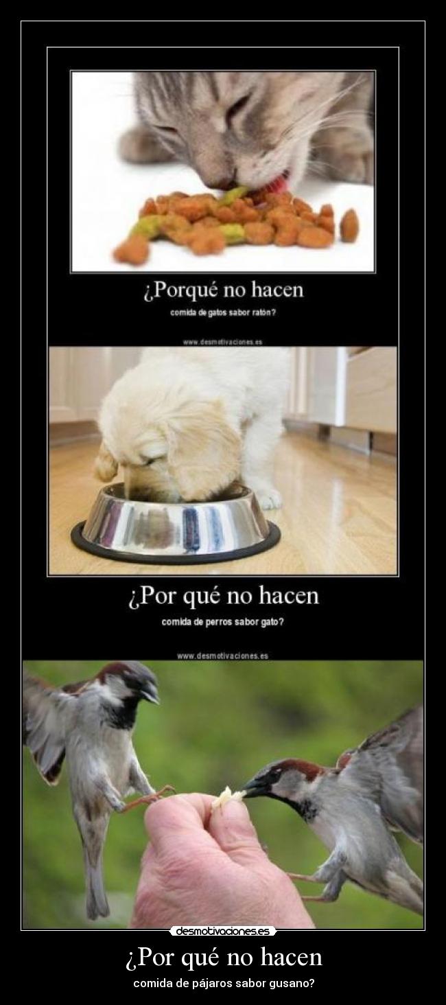 ¿Por qué no hacen -