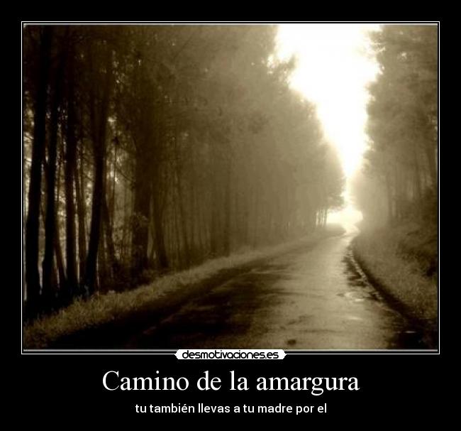 Camino de la amargura - tu también llevas a tu madre por el