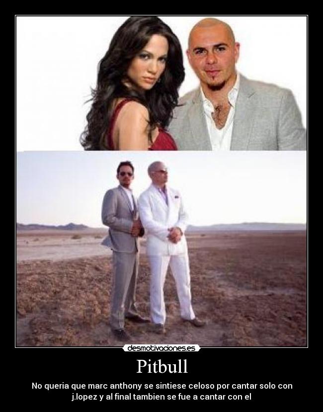 Pitbull -