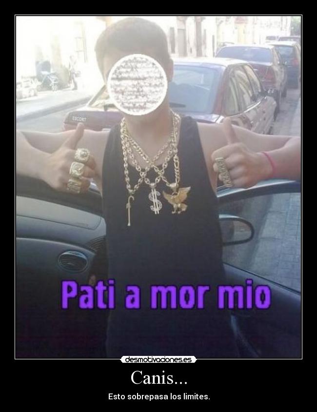 carteles canis desmotivaciones