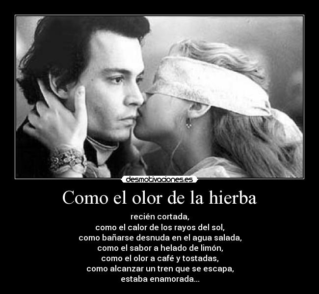 carteles amaral enamorada desmotivaciones