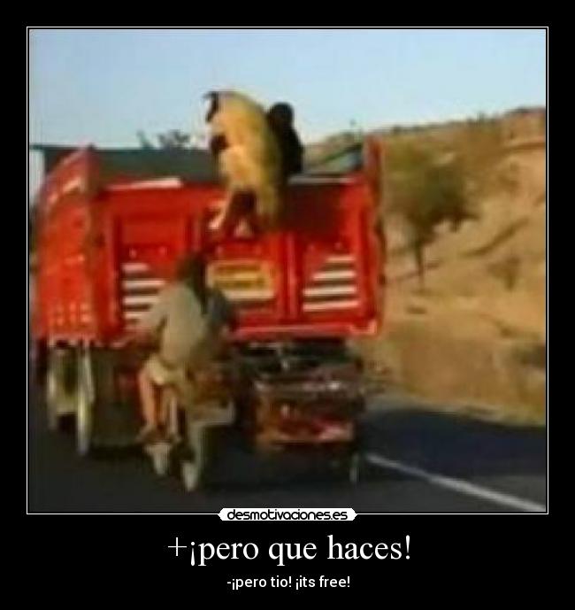 +¡pero que haces! - -¡pero tio! ¡its free!