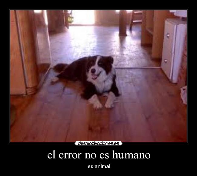 carteles desmotivaciones