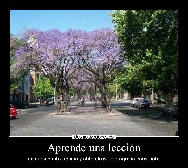 carteles deja mirar las etiquetas mira cartel desmotivaciones