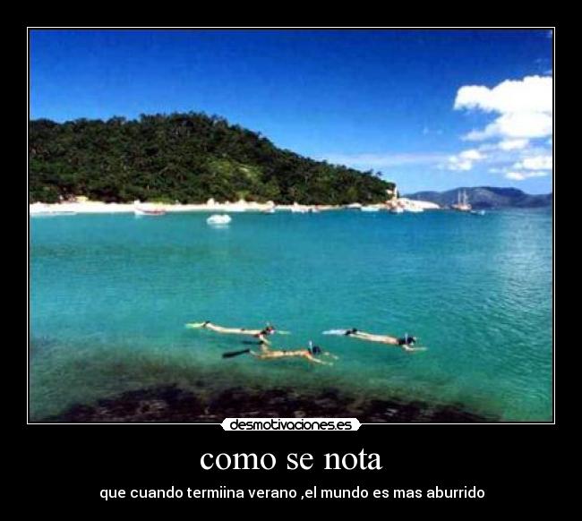 carteles pos desmotivaciones