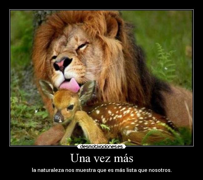 Una vez más - la naturaleza nos muestra que es más lista que nosotros.