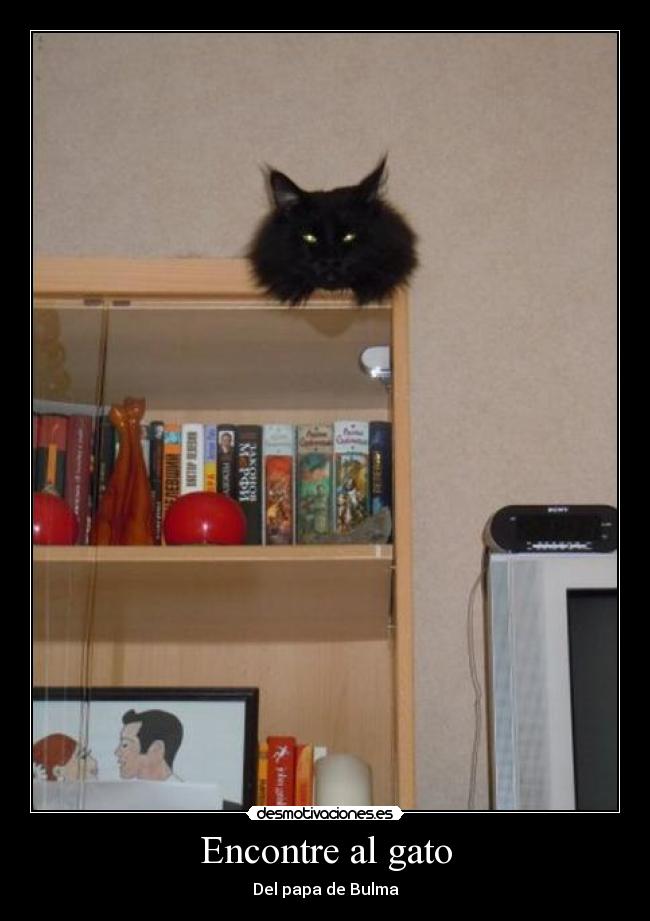 Encontre al gato - Del papa de Bulma