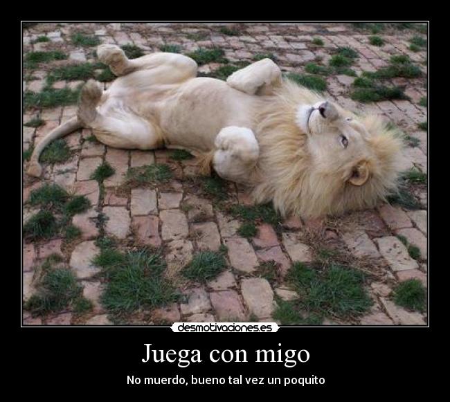 Juega con migo -