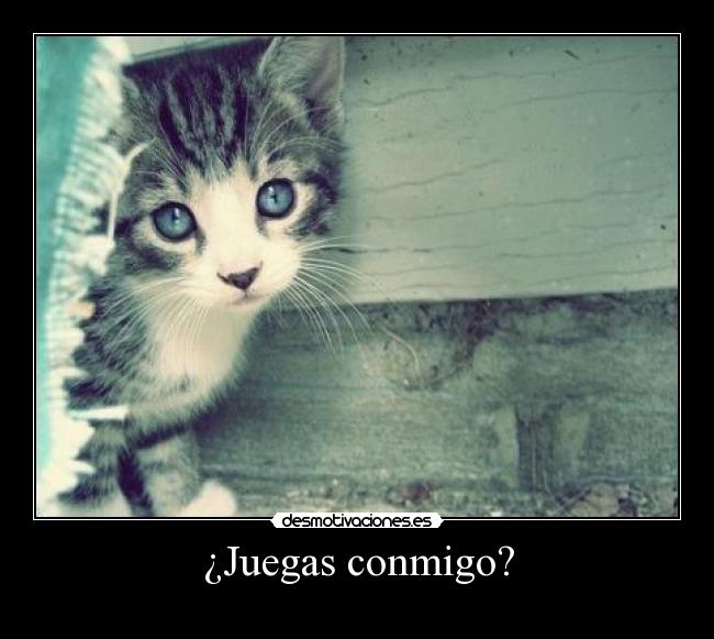 ¿Juegas conmigo? -