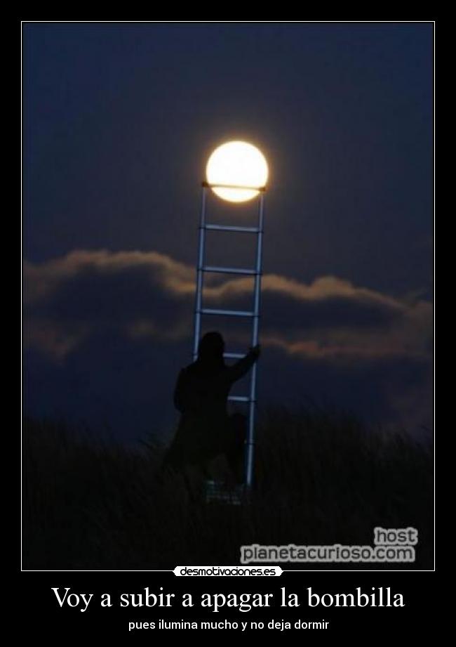 carteles fefeeeweweewewewew desmotivaciones