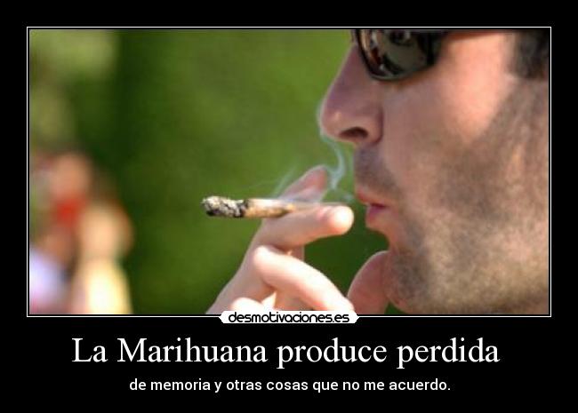 La Marihuana produce perdida  - 