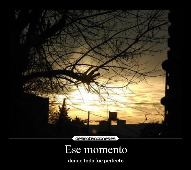 carteles desmotivaciones walt-k amor razon batalla ganar pricipal cola gente perfecto desmotivaciones