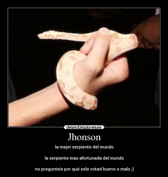 Jhonson - la mejor serpiente del mundo

la serpiente mas afortunada del mundo

no pregunteis por qué solo votad bueno o malo ;)