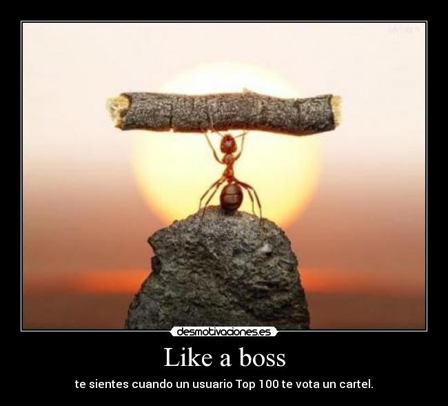 Like a boss -