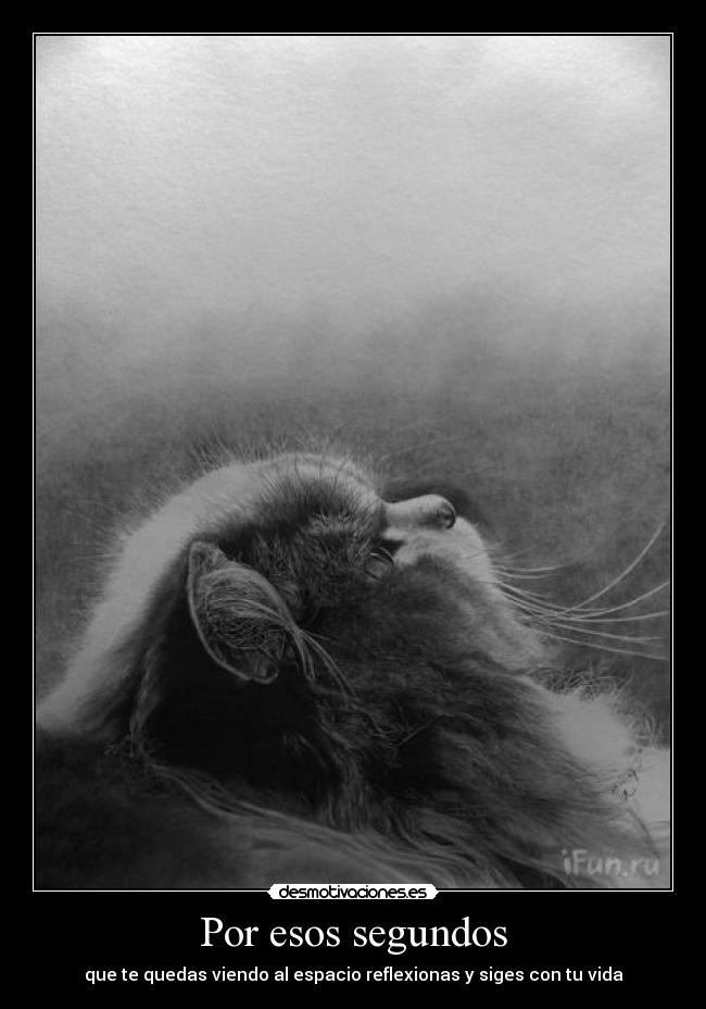 Por esos segundos -