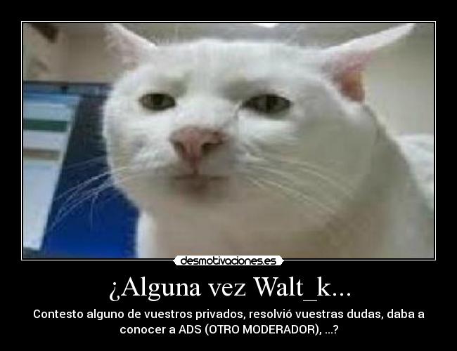¿Alguna vez Walt_k... - Contesto alguno de vuestros privados, resolvió vuestras dudas, daba a
conocer a ADS (OTRO MODERADOR), ...?