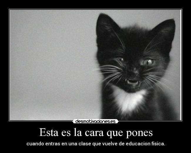 Esta es la cara que pones -