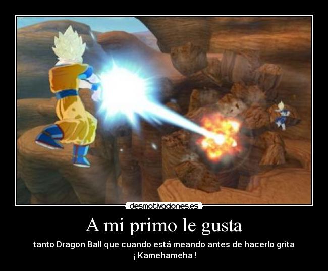A mi primo le gusta - tanto Dragon Ball que cuando está meando antes de hacerlo grita
 ¡ Kamehameha !