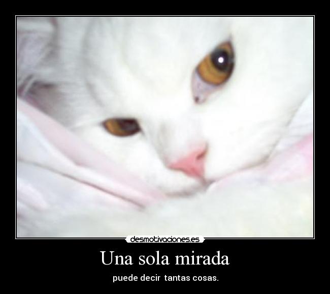 Una sola mirada - 