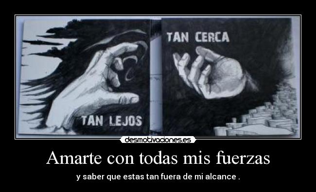 Amarte con todas mis fuerzas -