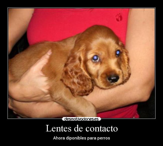 Lentes de contacto -