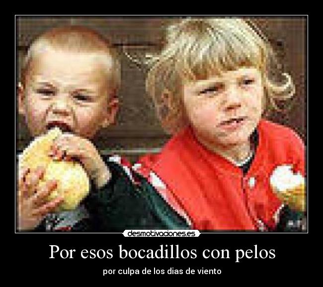 Por esos bocadillos con pelos - por culpa de los dias de viento