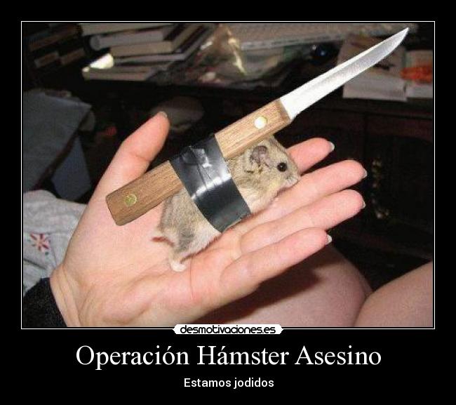 Operación Hámster Asesino - Estamos jodidos