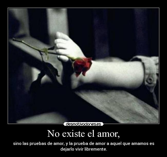 carteles amor amor existir pruebas amor libertad desmotivaciones