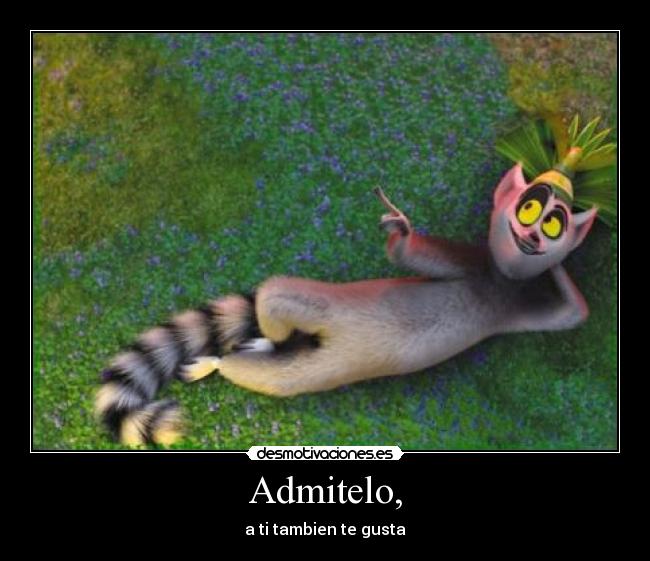 Admitelo, - 