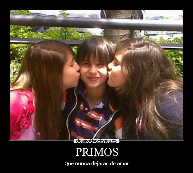 PRIMOS - 