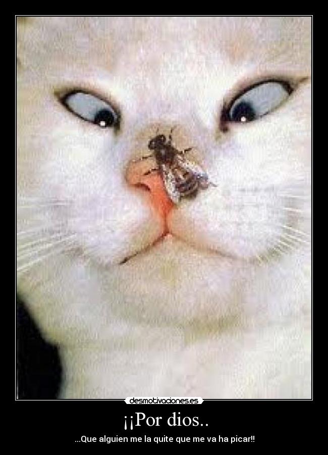 ¡¡Por dios.. - ...Que alguien me la quite que me va ha picar!!
