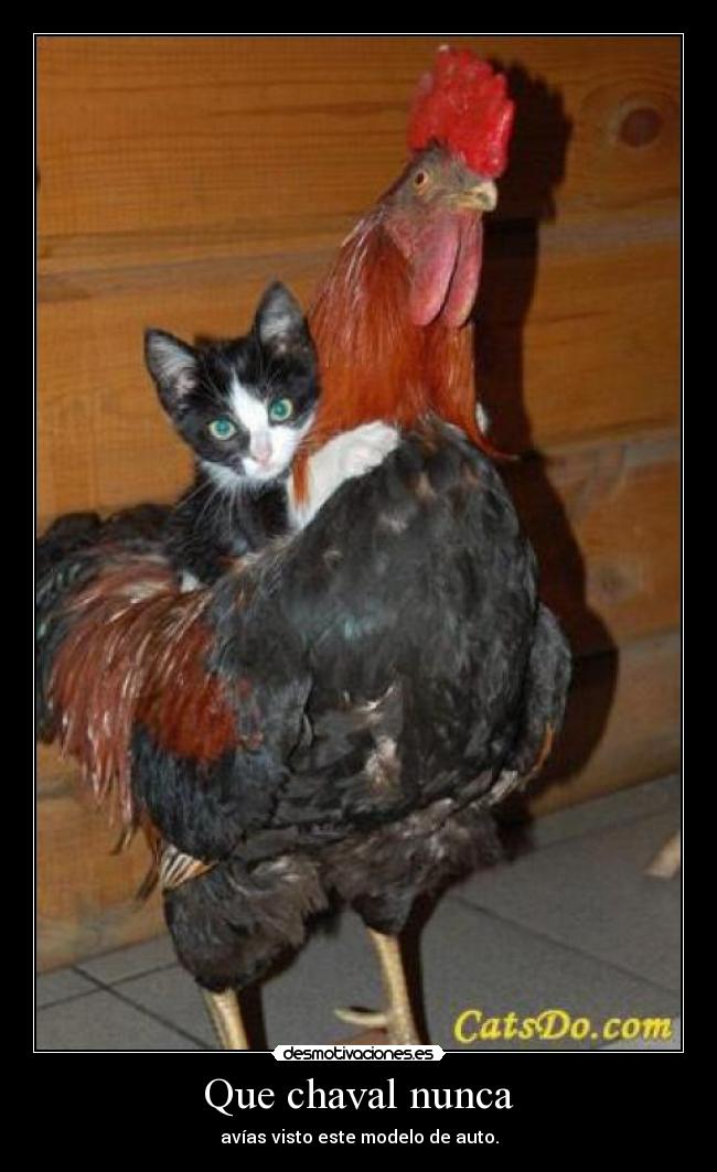 Que chaval nunca - avías visto este modelo de auto.