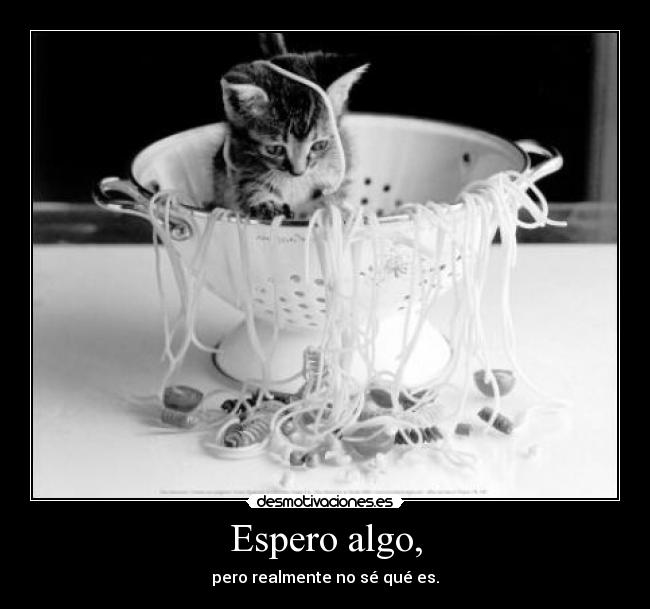 carteles cuando vendra desmotivaciones